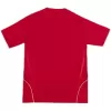 Retro Soccer Jersey Spain Home 2008 - gogoalshop