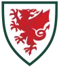 Wales - gogoalshop
