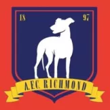 AFC Richmond - gogoalshop