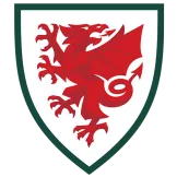 Wales - gogoalshop