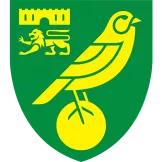 Norwich City - gogoalshop