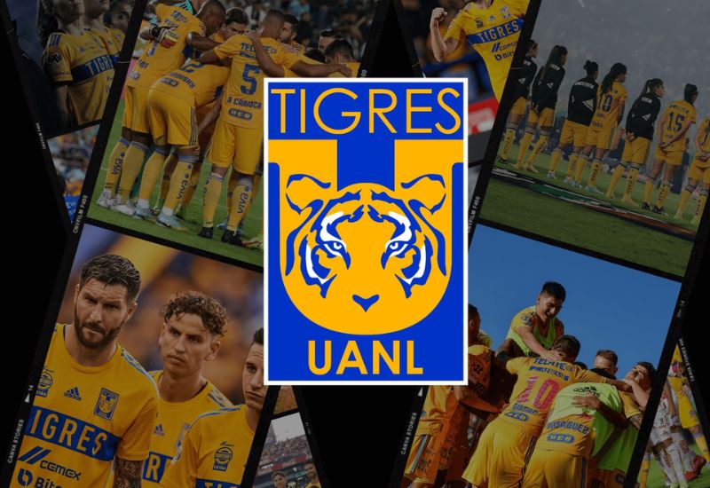 Tigres UANL Soccer Jersey.jpg