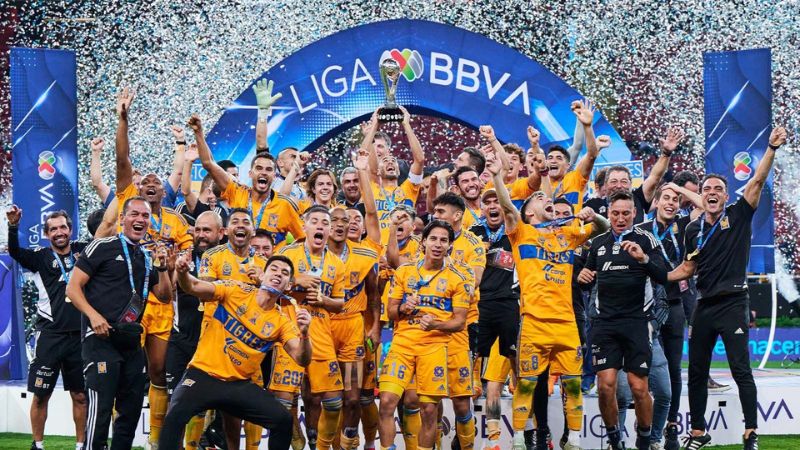 Tigres UANL.jpg