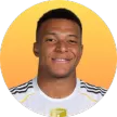 France- - gogoalshop