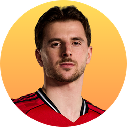 Manchester United- - gogoalshop