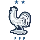 France - gogoalshop