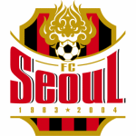 FC Seoul - gogoalshop