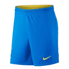 Brazil Home Shorts 2021 By Nike - gogoalshop