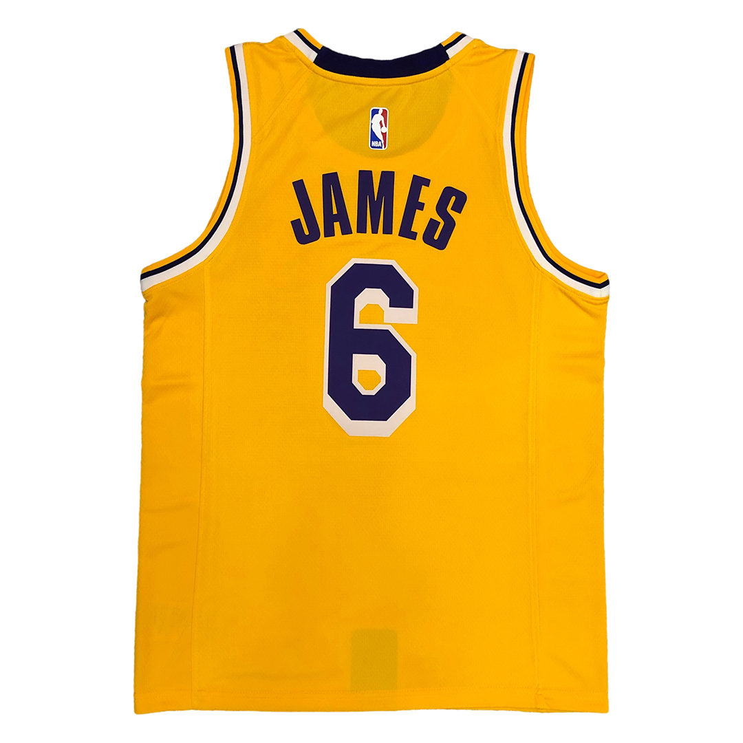 NBA Swingman Jersey LeBron James #6 Los 