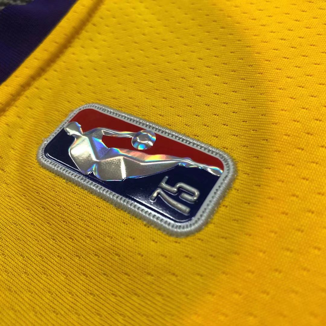 NBA Swingman Jersey LeBron James #6 Los 