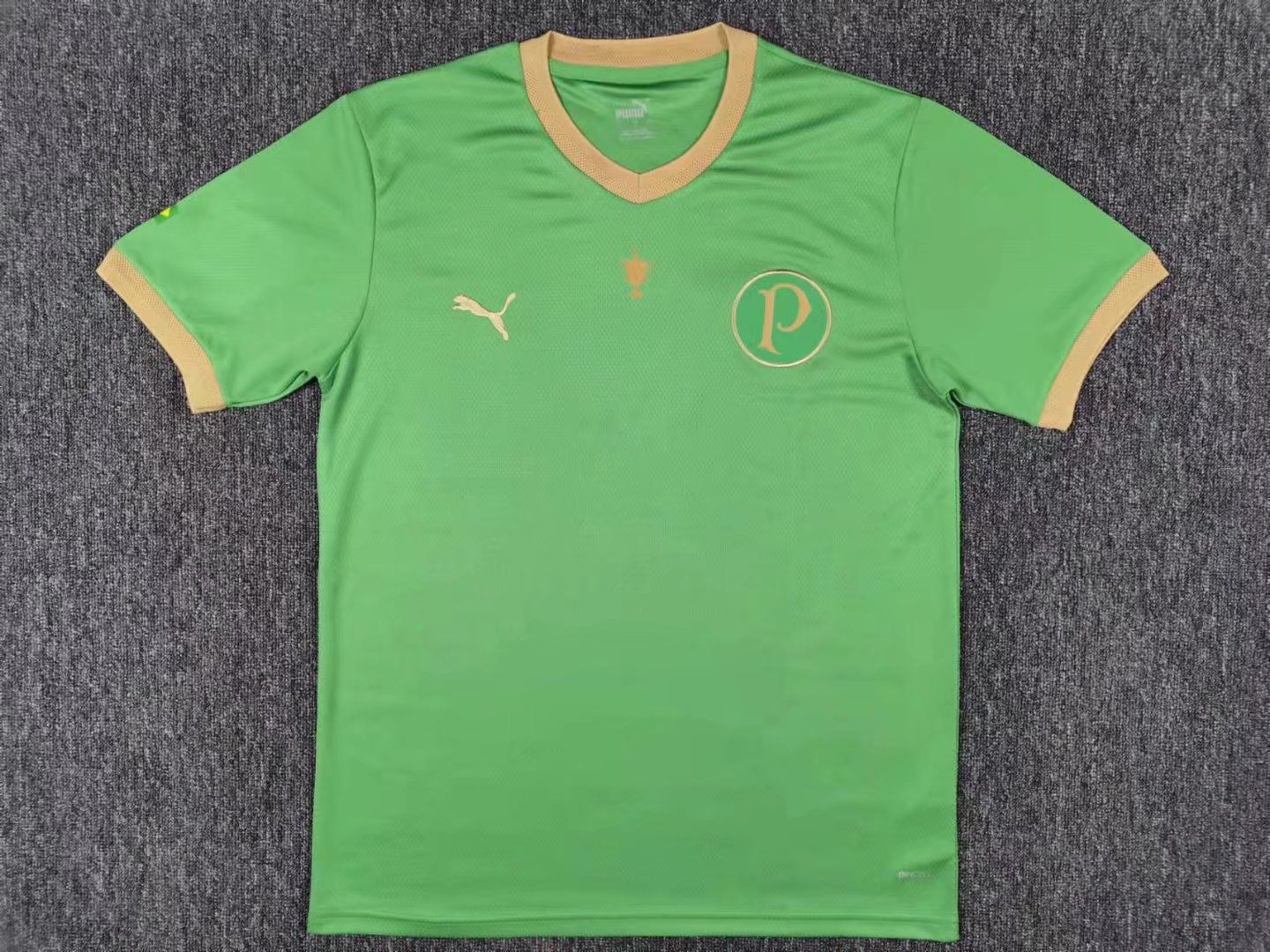 Replica SE Palmeiras Jersey 2021/22 By 
