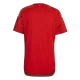 Wales Home Jersey Shirt World Cup 2022 - gogoalshop