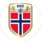 ERLING HAALAND PLAYS FOR - gogoalshop