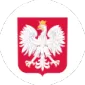 ROBERT LEWANDOWSKI PLAYS FOR - gogoalshop