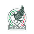 HIRVING LOZANO PLAYS FOR - gogoalshop