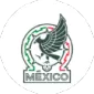 2024 COPA AMÉRICA TEAMS - gogoalshop
