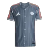 Bayern Munich US Pack Shirt 25/26 Gray - gogoalshop