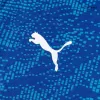 Marseille Third Away Authentic Soccer Jersey 2025/26 - gogoalshop