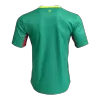 Senegal Away Player Version Jersey World Cup 2026 - gogoalshop