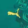 Senegal Away Soccer Jersey World Cup 2026 - gogoalshop