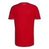 Wales Home Soccer Jersey World Cup 2026 - gogoalshop