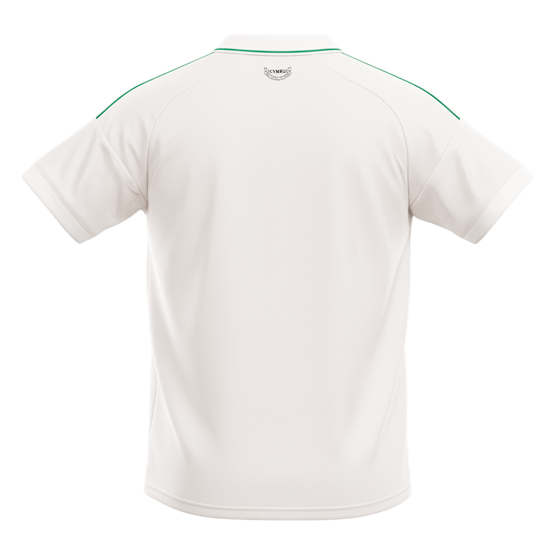 Wales Away Soccer Jersey World Cup 2026 - gogoalshop