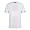Retro Soccer Jersey Portugal Away 2010 - gogoalshop