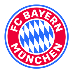 UEFA CHAMPIONS LEAGUE CLUBS - gogoalshop