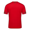 Retro Soccer Jersey Portugal Home 2010 - gogoalshop