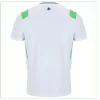Ireland Away Soccer Jersey World Cup 2026 - gogoalshop