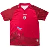 Haiti Third Away Soccer Jersey World Cup 2026 - gogoalshop