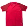 Haiti Third Away Soccer Jersey World Cup 2026 - gogoalshop