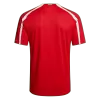 Retro Soccer Jersey Turkey Home 2008 - gogoalshop