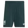 Mexico Away Soccer Shorts World Cup 2026
