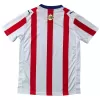 Chivas 120th Anniversary Soccer Jersey 2026 - gogoalshop