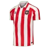Sunderland AFC Home Soccer Jersey 2026/27 - gogoalshop