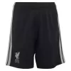 Liverpool Third Away Jerseys Kit 2026/27 - gogoalshop