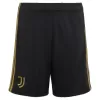Juventus Third Away Jerseys Kit 2026/27 - gogoalshop